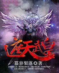 遮天中皇什么等级