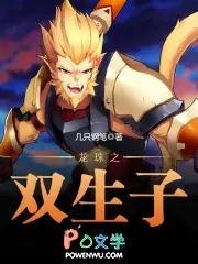 龙珠之双生子百度百科