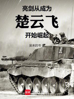 亮剑我是楚云飞