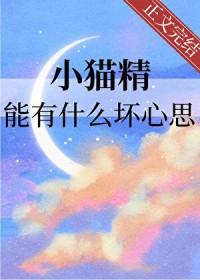 小猫的精力太旺盛了