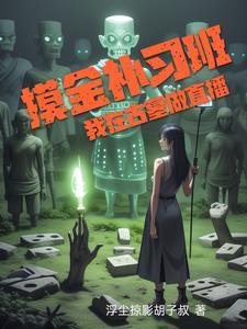 摸金系列