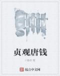 贞观唐钱 第914章