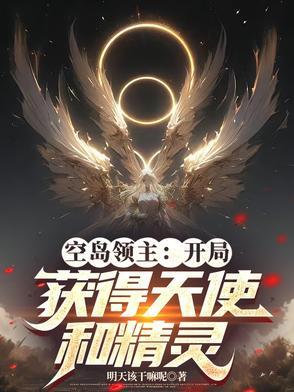 空岛大领主txt八零