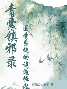 青囊医仙txt