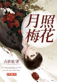月照花影