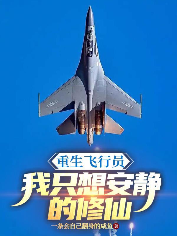 重生之飞行员