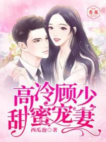 高冷顾少柔情宠目录