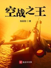 空战之空战王牌免费阅读