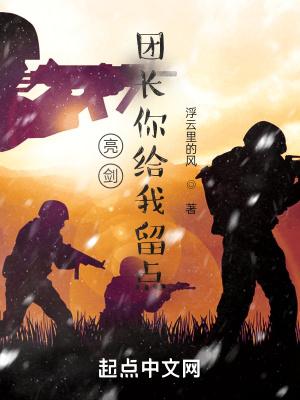 亮剑团长你给我留点TXT奇书网