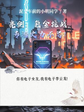 游戏 亮剑