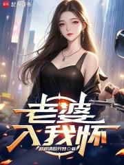 我的老婆是天后