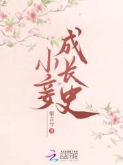 小妾的故事