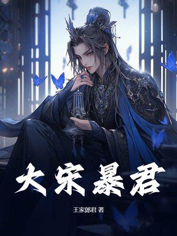 大宋之暴君赵构