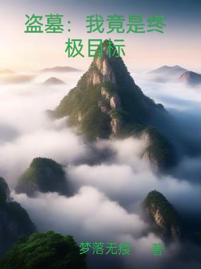 我是盗墓贼免费阅读