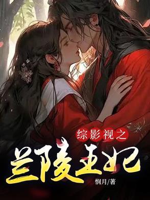 综影视包括兰陵王妃