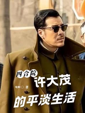 四合院许大茂的