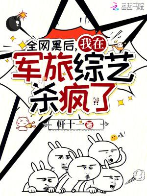 全网黑后我在军旅综艺杀疯了txt