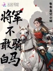 将军不下马锁什么意思