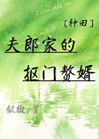 小夫郎的赘婿