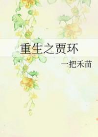 重生贾环为主角的红楼