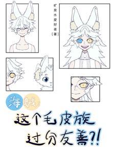 海贼王之皮毛大将