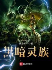 星渊之境百科