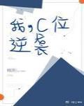 你家公主又出去拼命了免费阅读