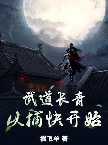 雷霆圣帝叶星辰