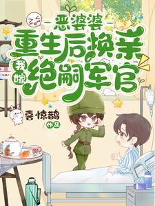 权力巅峰从领导大秘开始