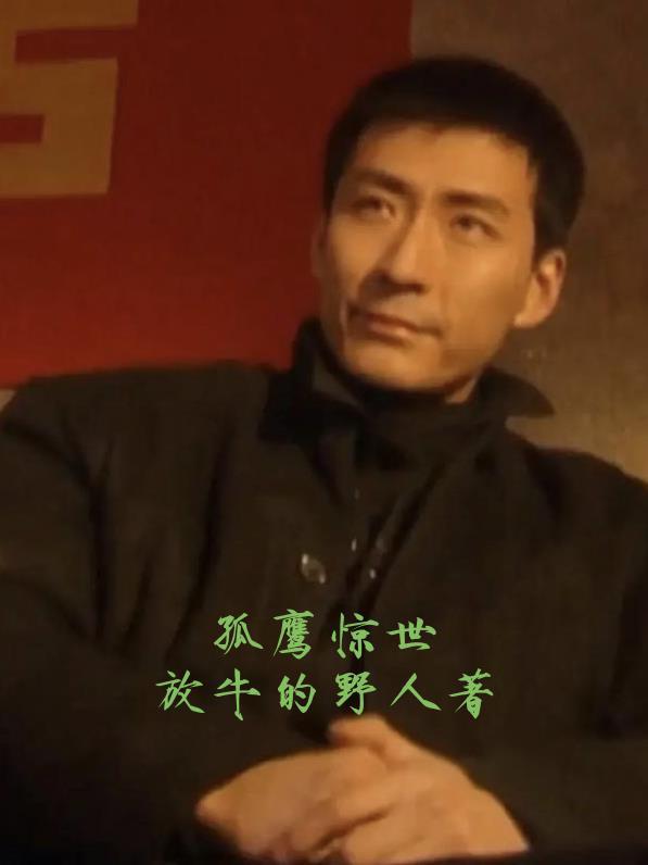 生死圣皇陆辰