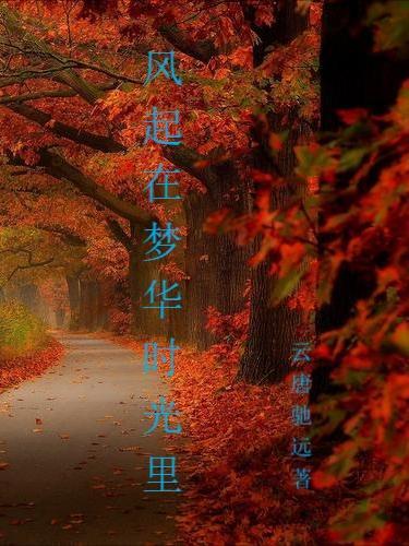 朕这一生如履薄冰TXT