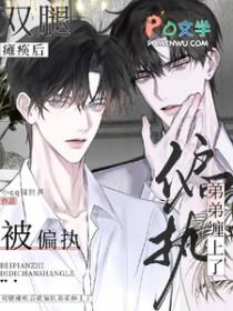 万金娘子免费阅读全文无弹窗