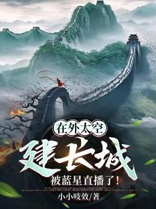 钢铁火药和施法者主角
