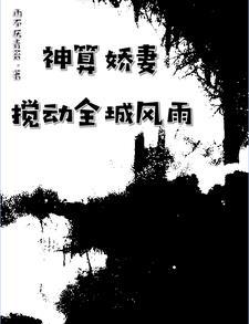 错嫁良缘免费阅读全文一代军师