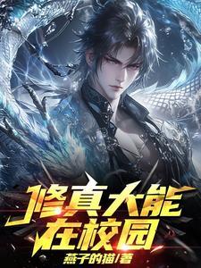 我和美女总裁